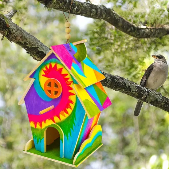 Kit de comedero para pájaros DIY, manualidades de madera, Kit de casa para pájaros DIY para niños