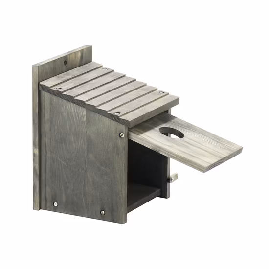 Kit de comedero para pájaros DIY, manualidades de madera, Kit de casa para pájaros DIY para niños